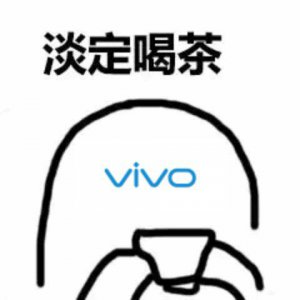 ​用了这款 vivo 新机两周后，让我和你谈谈折叠屏的实用性