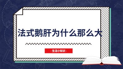 ​法式鹅肝为什么那么大
