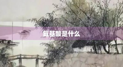 ​氨基酸是什么