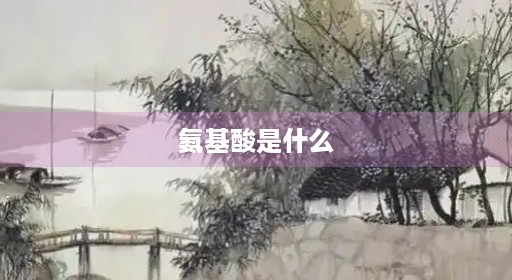 氨基酸是什么