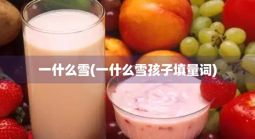 一什么雪(一什么雪孩子填量词)