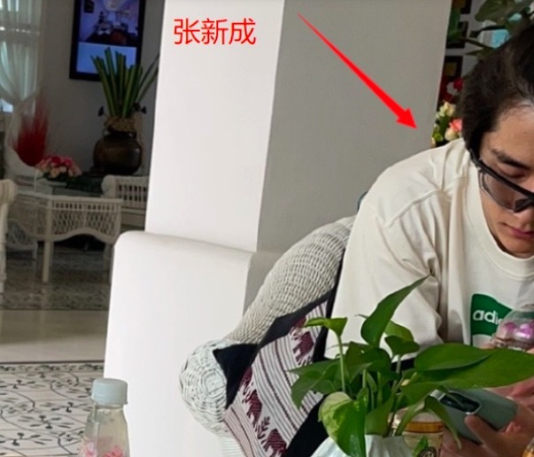 张新成李兰迪恋情被曝 两边粉丝互相看不上偶像另一半开始互撕