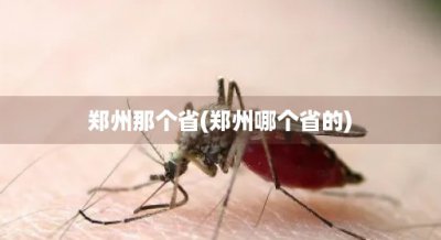 ​郑州那个省(郑州哪个省的)