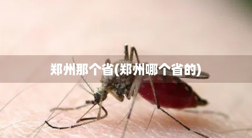 郑州那个省(郑州哪个省的)