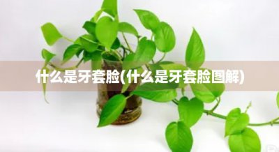 ​什么是牙套脸(什么是牙套脸图解)