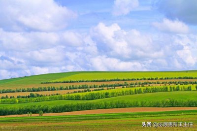 ​男性囊肿是什么原因引起的(男性囊肿是什么原因引起的,该怎么治疗)