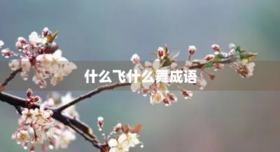 ​什么飞什么舞成语