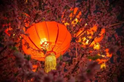 ​晚点是什么意思(武则天登基晚点是什么意思)