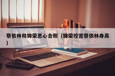 ​蔡依林和锦荣恶心合照（锦荣挖苦蔡依林身高）