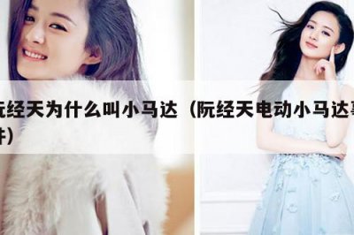 ​阮经天为什么叫小马达（阮经天电动小马达事件）