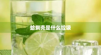 ​蛤蜊壳是什么垃圾