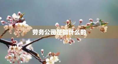 ​劳务公司是做什么的(人力资源劳务公司是做什么的)