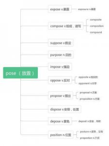 ​pose什么意思中文(suppose什么意思中文)