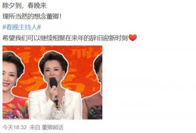 ​董卿为什么被央视解雇了，密春雷(密春雷老婆是董卿吗)