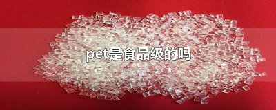 ​pet是食品级的吗