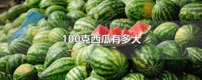 ​100克西瓜有多大