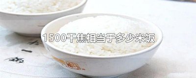 ​1500千焦相当于多少米饭