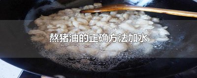 ​熬猪油的正确方法加水