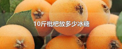 ​10斤枇杷放多少冰糖