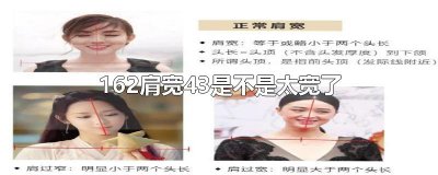 ​162肩宽43是不是太宽了