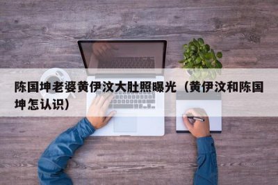 ​陈国坤老婆黄伊汶大肚照曝光（黄伊汶和陈国坤怎认识）