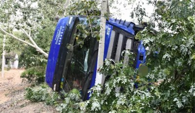 ​货车撞断路边树如何理赔