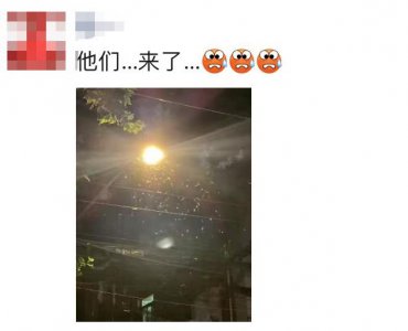 ​白蚁越闹越凶 , 居然爬身上…这波高峰要持续多久 ? 有消息了
