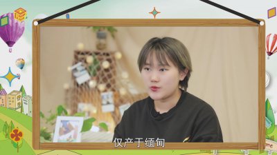 ​翡翠是玉的一种吗