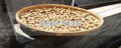 ​晒龙眼干怎么晒