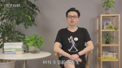 ​松树的特点是什么
