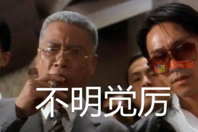 ​不明觉厉是什么意思？不明觉厉是成语吗？