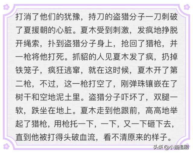 迷雾剧场谁是凶手原著结局(谁是凶手原著小说结局是什么)