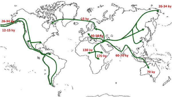 高加索人是哪个国家(中国唯一的高加索人种)