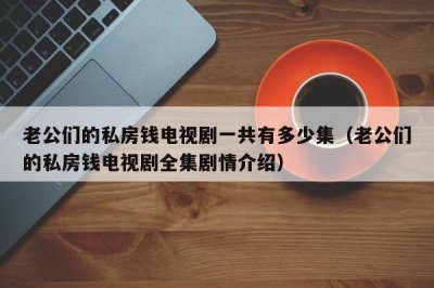 ​老公们的私房钱电视剧一共有多少集（老公们的私房钱电视剧全集剧情介绍）