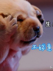 ​大腿肚内侧股癣图片