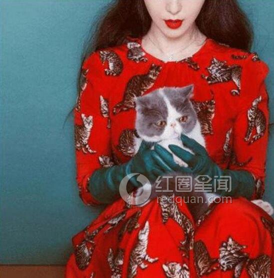 李晨范冰冰恋爱史 李晨范爷婚房内景图片