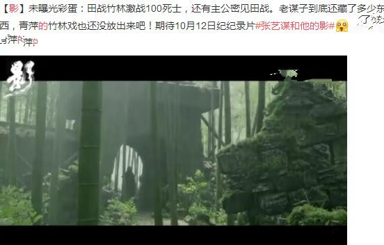 张艺谋影删减片段有哪些 张艺谋和他的影纪录片中有透漏吗