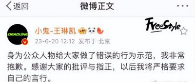 ​小鬼王琳凯道歉 往车窗外丢烟头被拍发文道歉