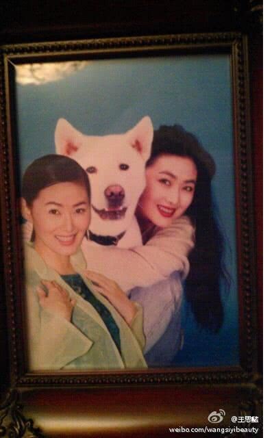 王思懿个人资料写真作品