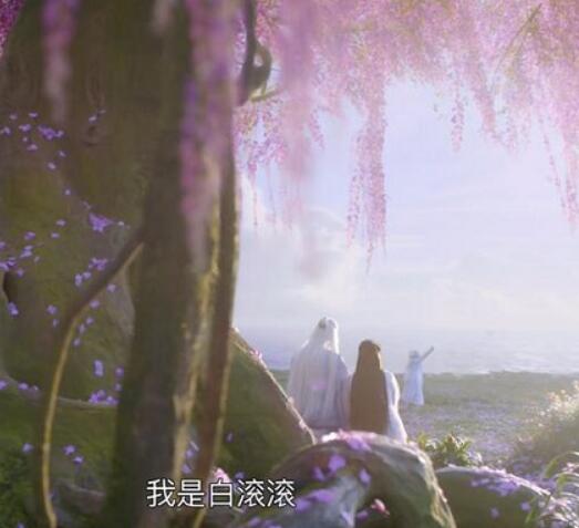 枕上书白滚滚真身是什么 凤九和帝君会生出什么物种呢