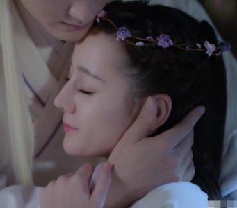 ​枕上书白滚滚真身是什么凤九和帝君会生出什么物种呢