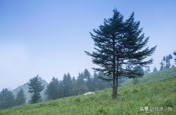 石家庄市区免费钓鱼地点（石家庄周边十大钓鱼场所）(11)