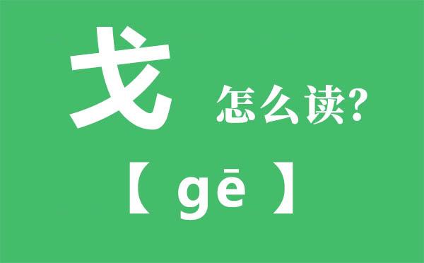 戈的拼音（戈的拼音是什么）