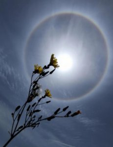 ​太阳光晕是什么现象（太阳光晕解释）