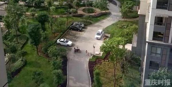 幼童坠亡事件追踪（幼童坠亡事件追踪）(10)