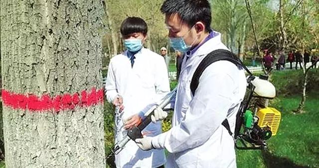 防治病虫害最好方法（常用环保的病虫害防治方法）(3)
