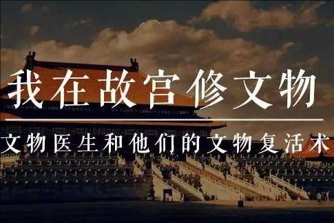 关于故宫介绍（以纪录片故宫为代表）(12)