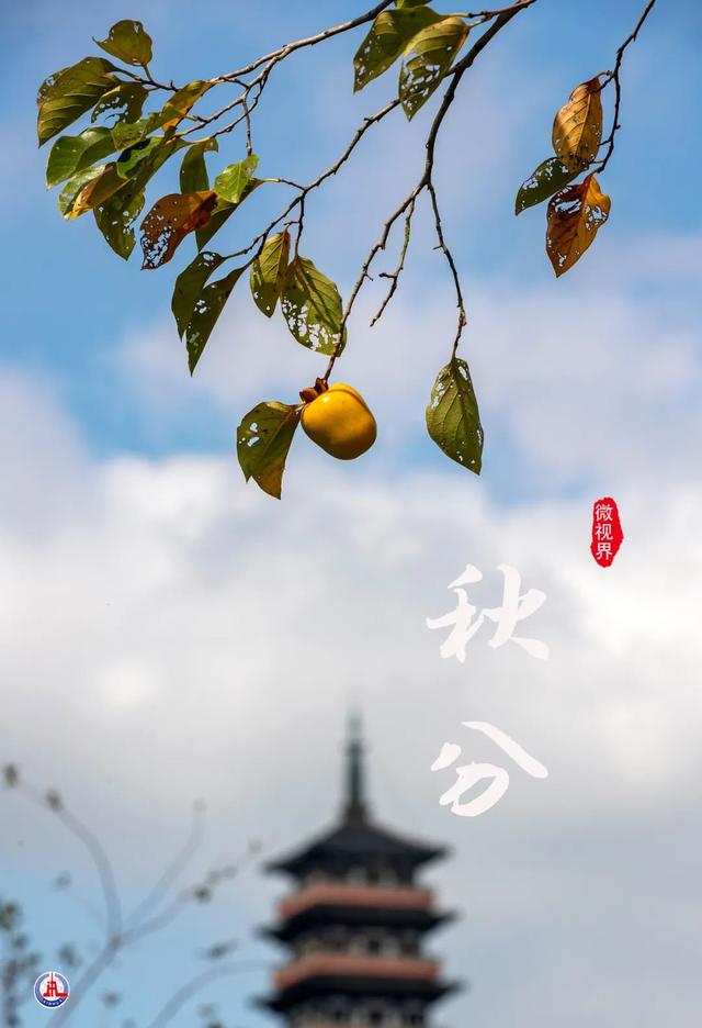 关于秋分节气的图画（诗画里的秋分）(2)