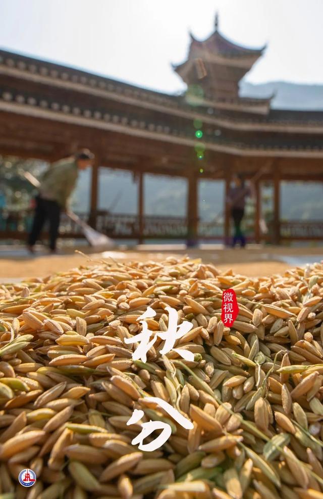 关于秋分节气的图画（诗画里的秋分）(10)