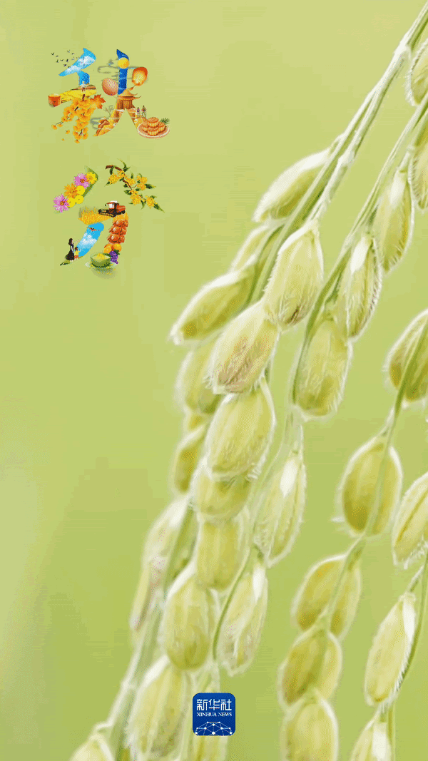关于秋分节气的图画（诗画里的秋分）(1)